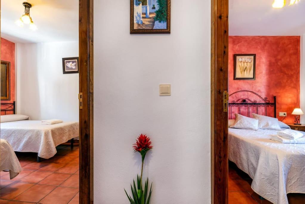 Apartmán Casa Jose Capileira - Alpujarra Exteriér fotografie